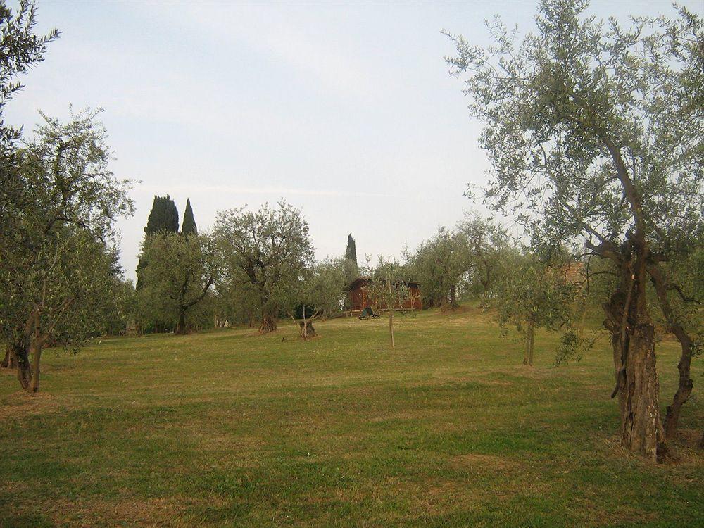L'Aia Country Holidays Siena Dış mekan fotoğraf